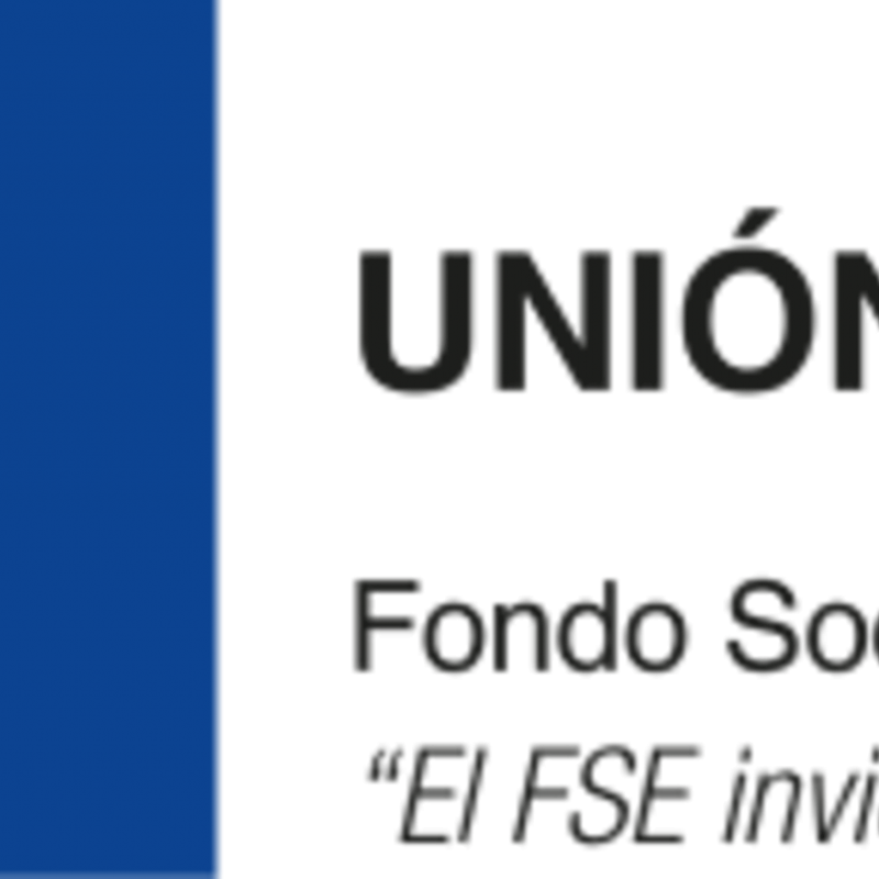 Logo FSE transparente